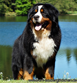 Liwanu z Krainy Zeusa